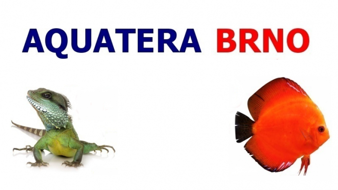 Aquatera Brno